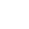 Icon2